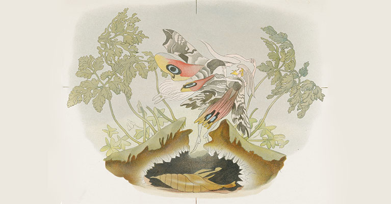 Museum Rosenegg – Fahrt ins Licht